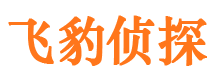 七台河婚外情调查取证